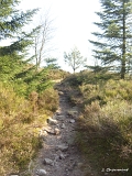 Le sentier est étroit, comme souvent dans les Vosges